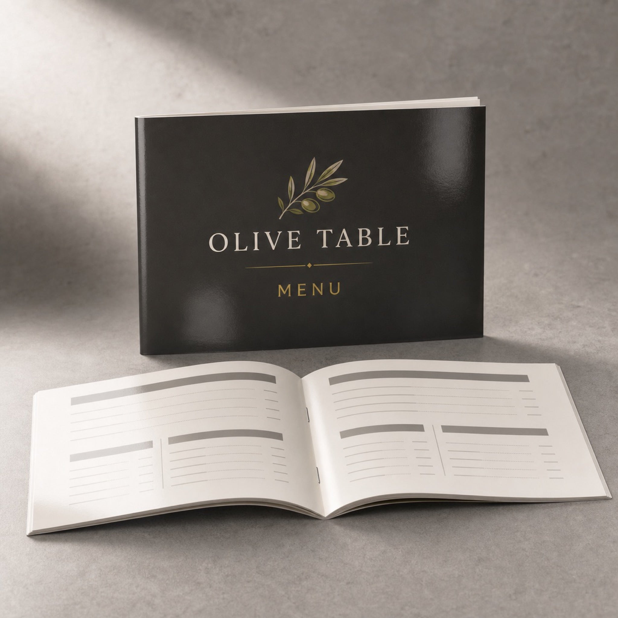 Glossy Booklets 8.5x5.5 shown as another common application